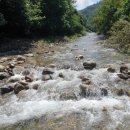 영춘민박 이미지