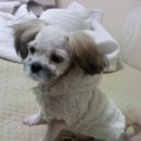 서초1동010 이미지