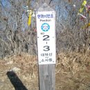 양지-12 이미지