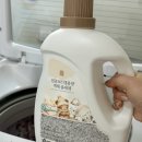 황금세탁 | 쉼표 365 대용량 액체 울세제 세탁세제 후기