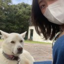 볼몽길하우스 | 제주여행_1일차