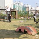 오산농장2 이미지