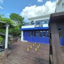 김제강아지 이미지