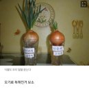 THE(더) 안경원 이미지