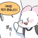 아라초등학교 이미지