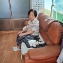 # 금포국민학교졸업 장세영이용소 금빛대학졸업.&amp; 이미지