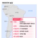 남미농장 이미지