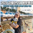 천년누리 | 2026 강릉단오제 솔직 후기ㅣ강릉 꼭 가볼만한 곳, 주차꿀팁부터 남대천야장 먹거리까지