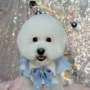 우리 펫 살롱 이미지