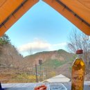 비발디 향기나무 이미지