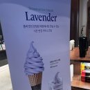 이박목장 | 폴바셋 시즌한정 메뉴 라벤더 아이스크림 간단 후기-인천 인스파이어 엔터테인먼트 리조트점