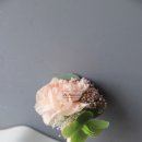 필동어린이집 이미지