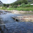 솔밭캠프 이미지