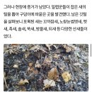 최근 남양주에서 참새고기로 1000여마리 산새들을 밀렵하는 현장 발견. 밀렵과 남획, 농약 살포, 서식지교란으로 산새들 점점 사라져 이미지