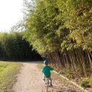 태화강대공원 대여소 이미지