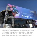 &#34;CES 2025&#34; 중국이 빛나고 삼성,LG,소니...감추어지고 이미지