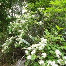 우정민박 이미지