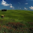 푸른초원 이미지