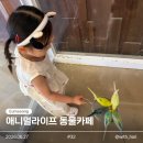 태정환경 | 충북 음성 애니멀라이프 ㅣ 실내 동물 카페, 아이랑 가볼 만한 곳
