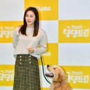 댕댕CLUB 이미지