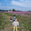 코스모스 어린이집 이미지