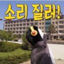 동부요양보호사교육원
