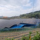 NK 태양광발전소 이미지