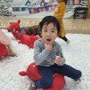샘솔유치원 이미지