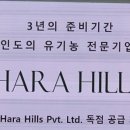 하리힐즈