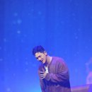 춘하추동 이미지