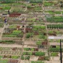 광주농장2 이미지