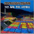 부산 시민을 위한 한마당 잔치 | 부산 송상현광장 부산연등회 2026 일정 및 삼광사 야경 가이드