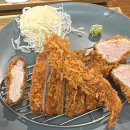 톤키 이미지