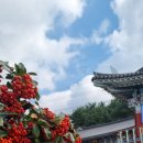 효열로 162번길 이미지