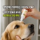 흐림 - 고양시 일산동구 위시티1로 6-27 | 강아지 눈 영양제 고르는 법, 강아지 백내장 눈물 자국과 흐림 증상 개선 후기