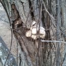 내동삼계리 이미지