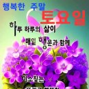 붉은 장미와 푸른 신록이 아름다운 6월입니다. 이미지