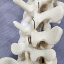 강철신경외과의원 이미지