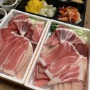 참치OK서산