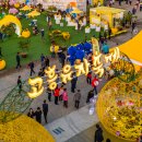 담작은민박 이미지