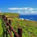 제주로와 이미지