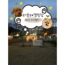 운동장 | 충남 아산 애견동반 캠핑장 추천 | 라포레 캠핑장 | 각 사이트 개별 울타리,애견 운동장 후기🐾