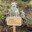 한지동 | 첫 혼자 여행: 제주 혼자 일주일 살기 7일차(1) - 제주소품샵 그린블리스, 한지동 분식집, 제주올레 4코스