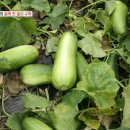 윤철농장 이미지