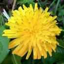 바른농장계란 이미지