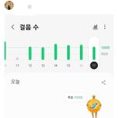 배박사늑대갈비 이미지