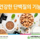 온다점핑 이미지