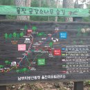 금강송민박 이미지