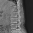 사가정마취통증의학과의원 이미지