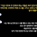 새창조 이미지